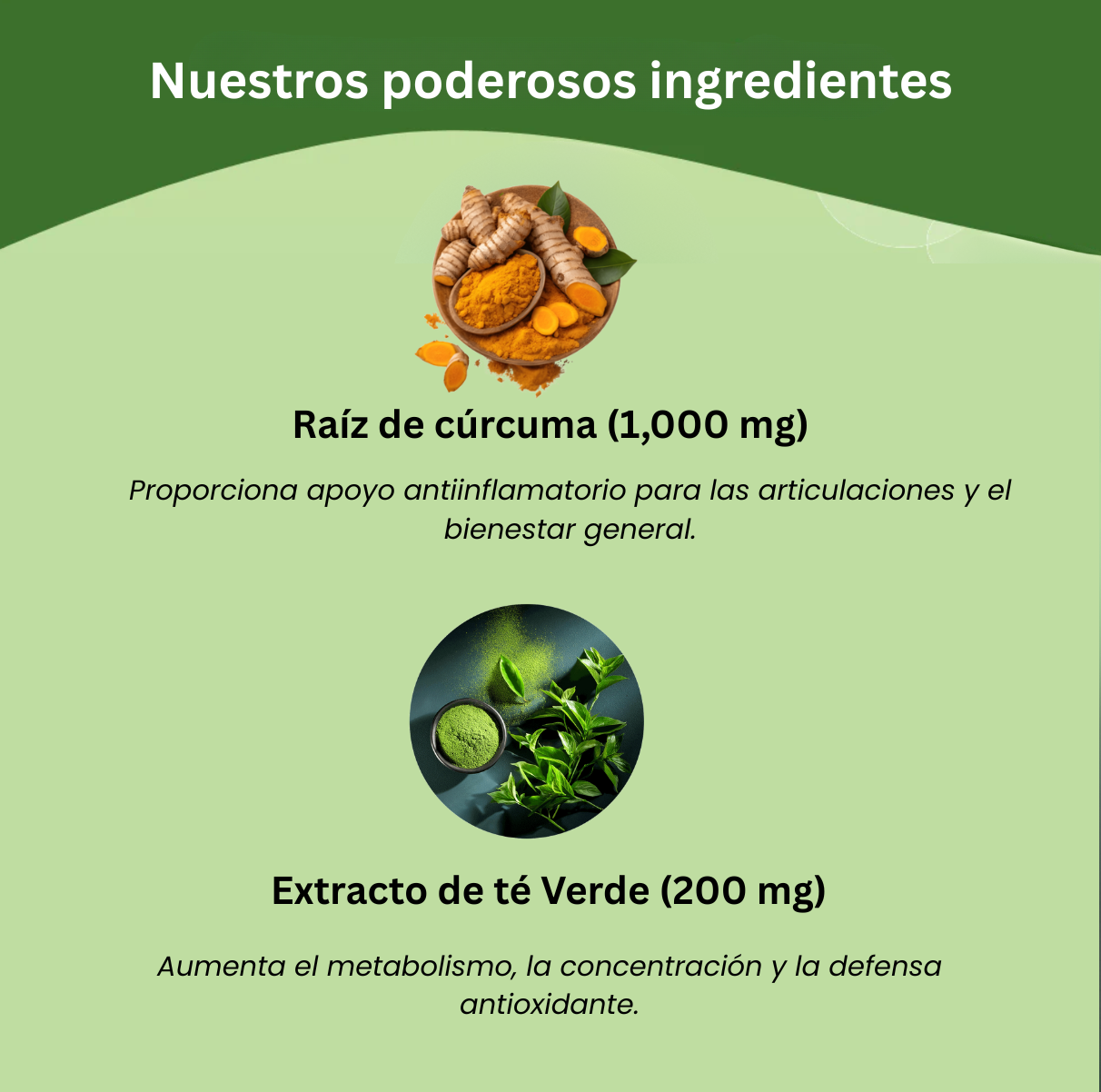 Micro Vital Ingridients Liposomal NAD+