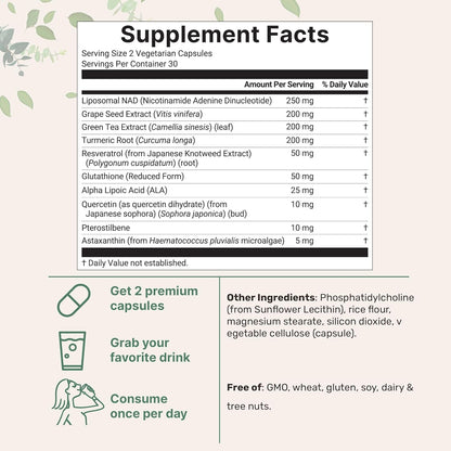 Micro Vital Ingridients Liposomal NAD+